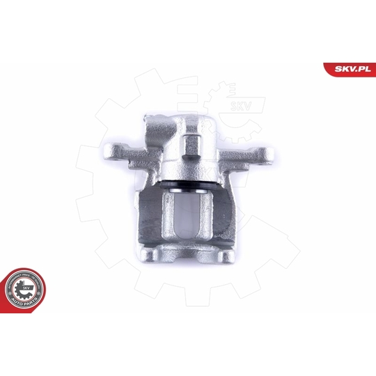 55SKV234 - Brake Caliper 