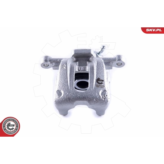 55SKV234 - Brake Caliper 