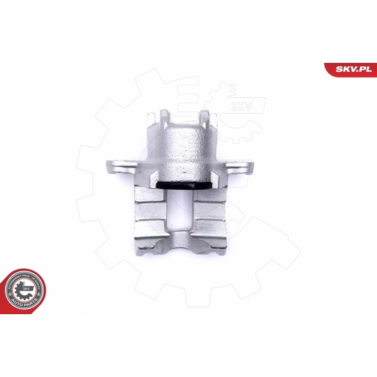 46SKV863 - Brake Caliper 