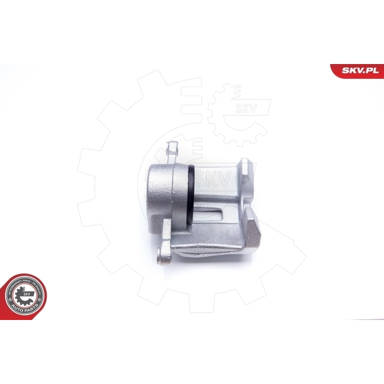 34SKV921 - Brake Caliper 