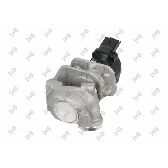 121-01-019 - EGR Valve 