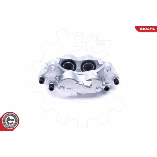 46SKV072 - Brake Caliper 