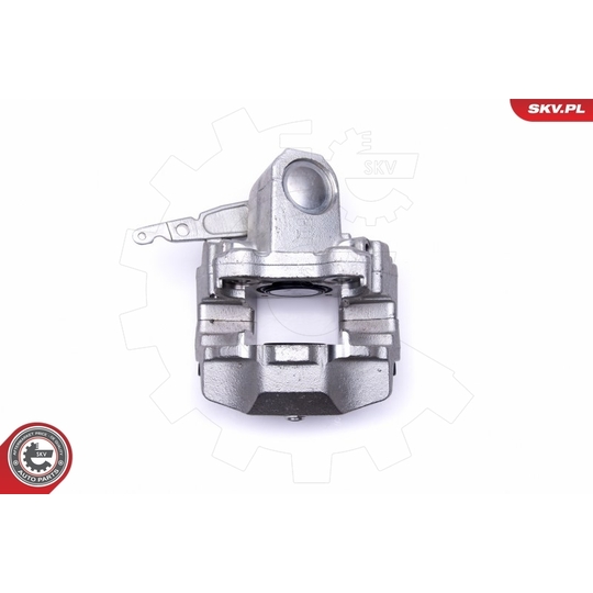 46SKV423 - Brake Caliper 