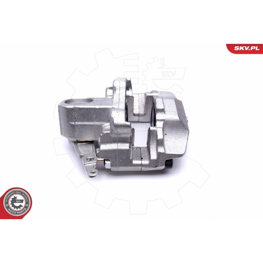 46SKV423 - Brake Caliper 