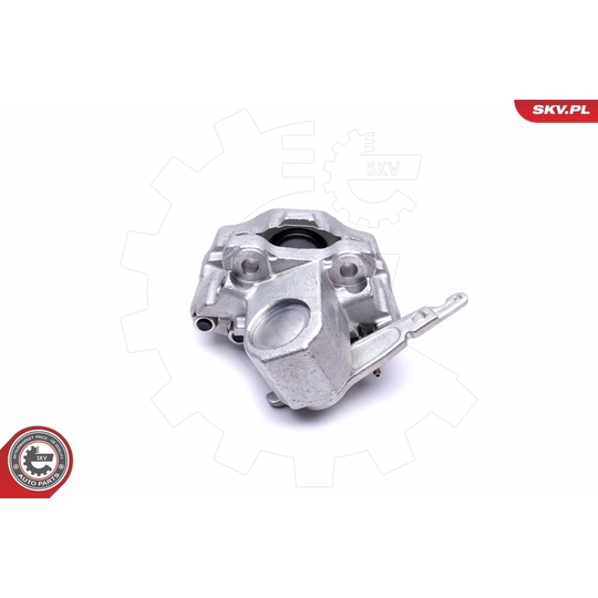 46SKV423 - Brake Caliper 