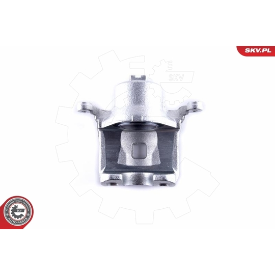 55SKV062 - Brake Caliper 