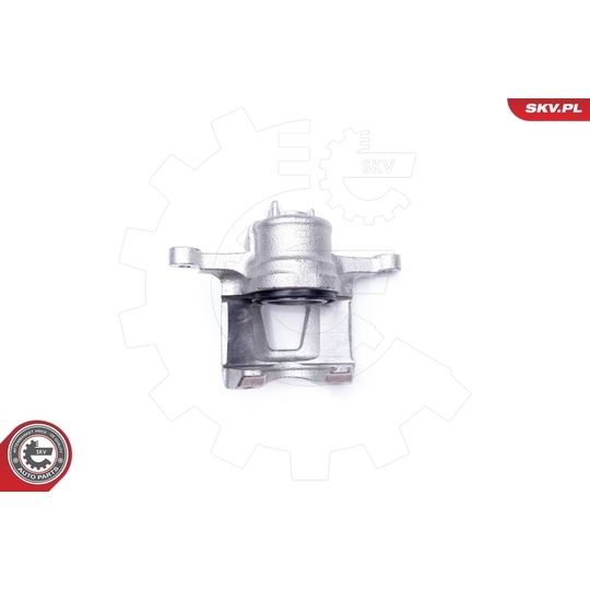 34SKV171 - Brake Caliper 