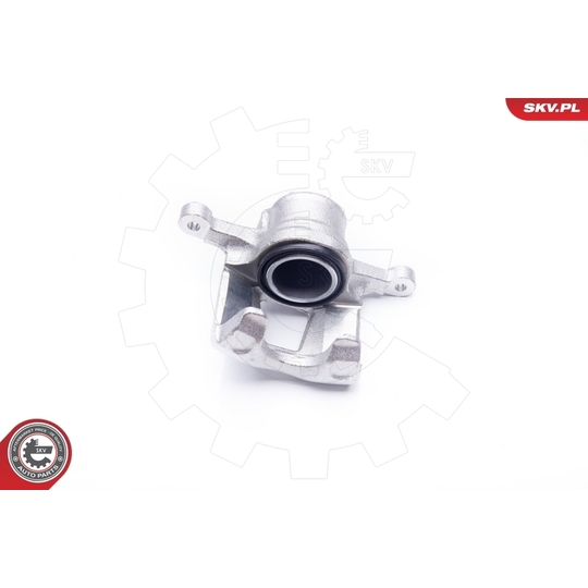 34SKV171 - Brake Caliper 