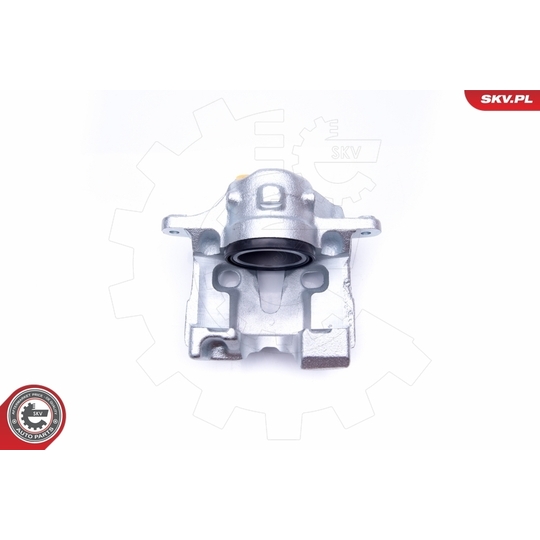 34SKV422 - Brake Caliper 