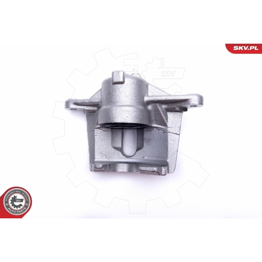 56SKV002 - Brake Caliper 