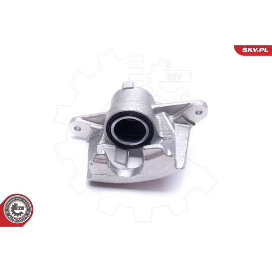 56SKV002 - Brake Caliper 