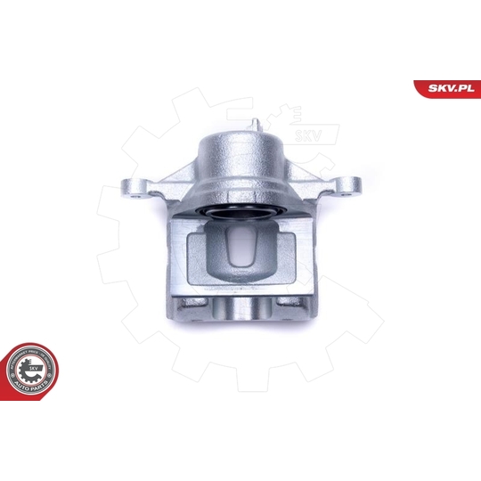 46SKV841 - Brake Caliper 