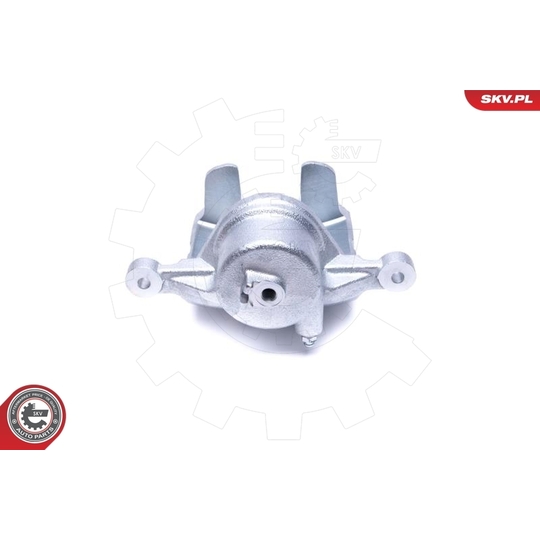 46SKV841 - Brake Caliper 