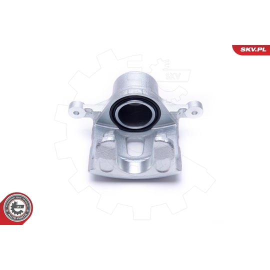 46SKV841 - Brake Caliper 