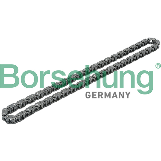 B1C010 - Timing Chain 