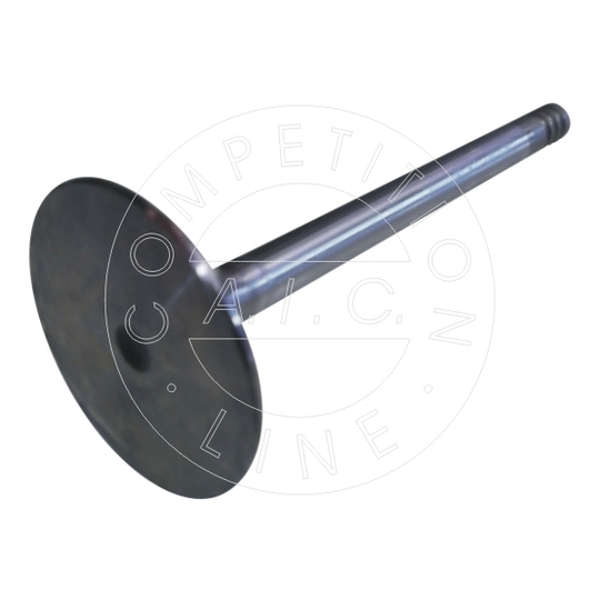 51241 - Intake Valve 