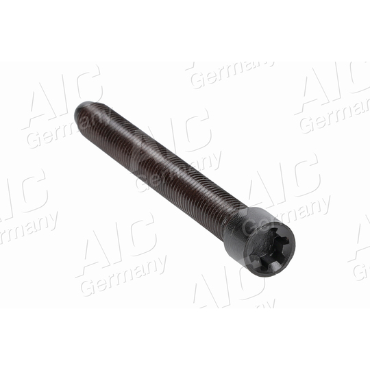 51229 - Cylinder Head Bolt 