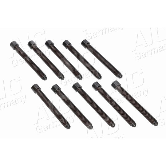 51229 - Cylinder Head Bolt 