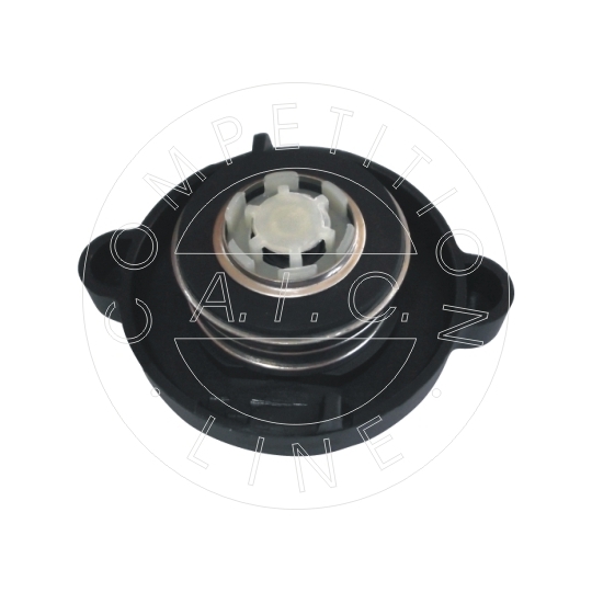 55596 - Sealing Cap, coolant tank 