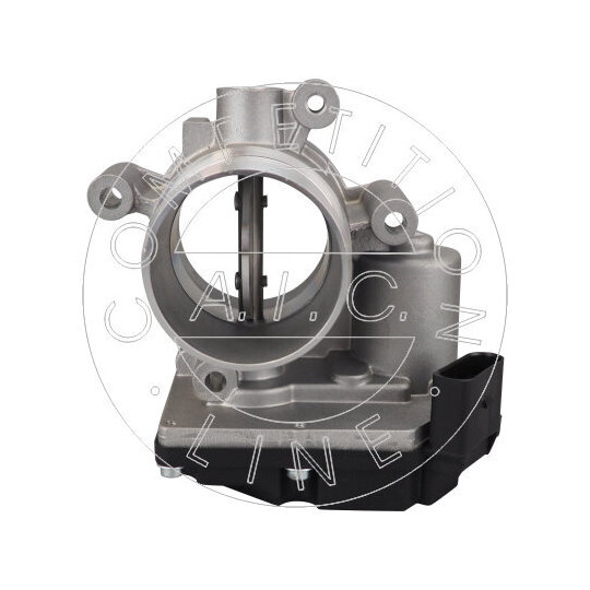 57988 - Throttle Body 