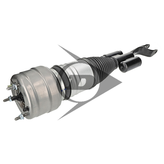 71174 - Air Spring Strut 