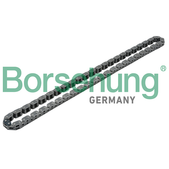 B1C001 - Timing Chain 