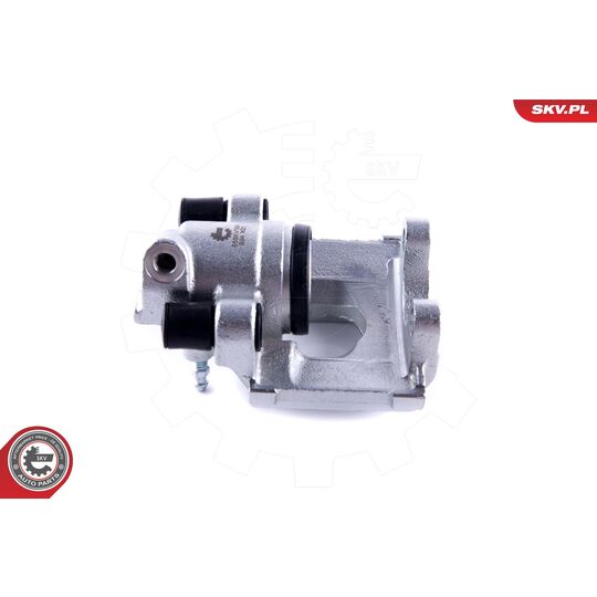 55SKV164 - Brake Caliper 