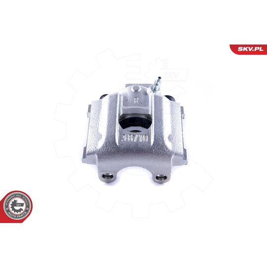 55SKV164 - Brake Caliper 