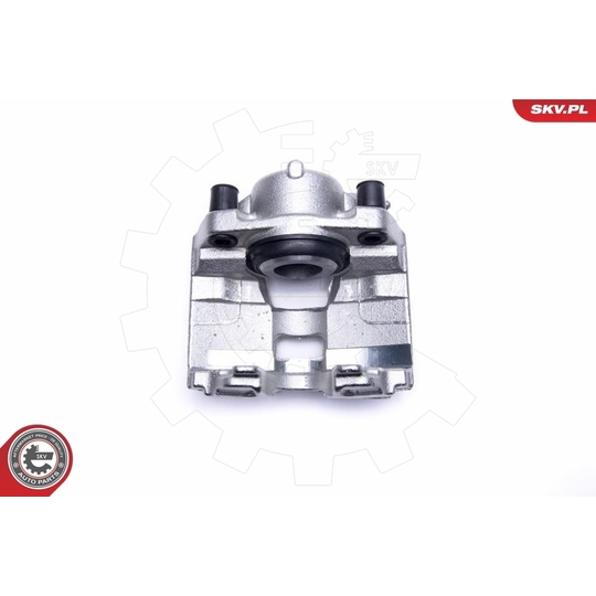 55SKV532 - Brake Caliper 