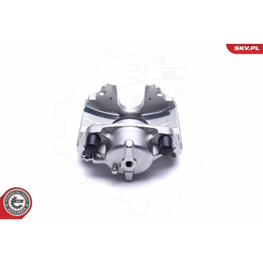 55SKV532 - Brake Caliper 