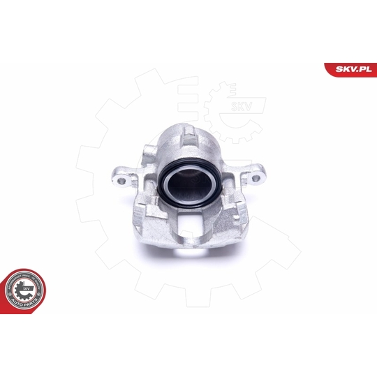 45SKV662 - Brake Caliper 