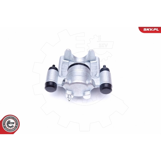 42SKV894 - Brake Caliper 