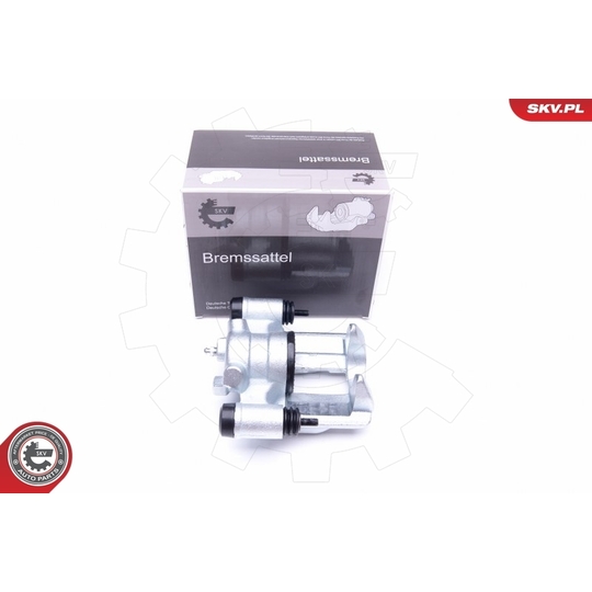 42SKV894 - Brake Caliper 