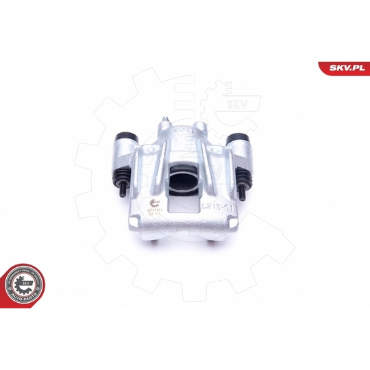 42SKV894 - Brake Caliper 