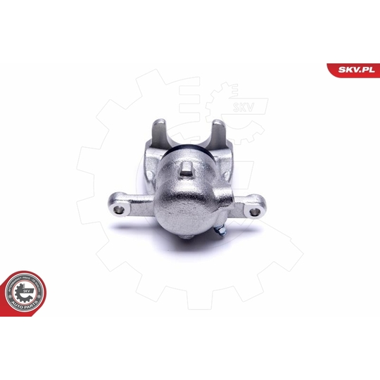 55SKV504 - Brake Caliper 