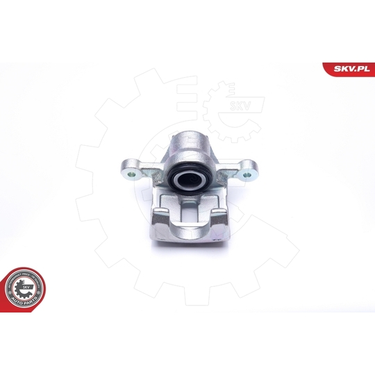 45SKV194 - Brake Caliper 