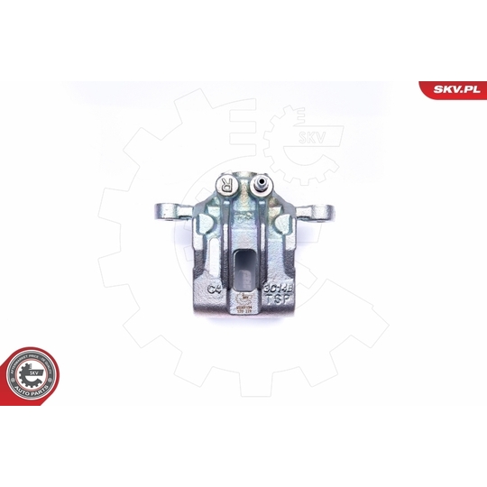 45SKV194 - Brake Caliper 