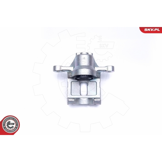 45SKV194 - Brake Caliper 