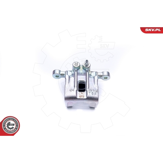 45SKV194 - Brake Caliper 