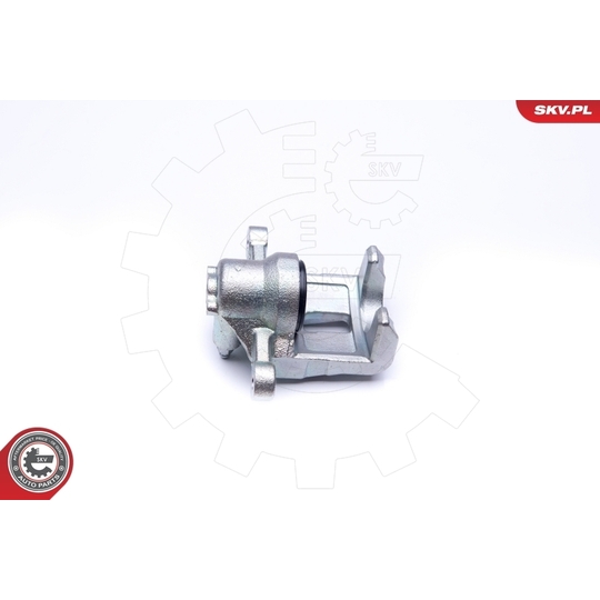 45SKV194 - Brake Caliper 