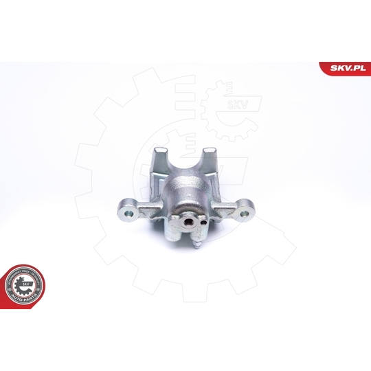 45SKV194 - Brake Caliper 