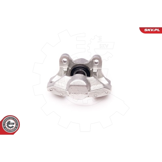 34SKV193 - Brake Caliper 