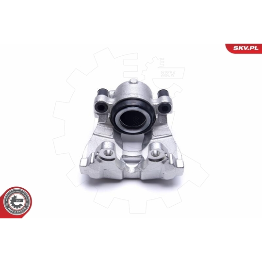 55SKV491 - Brake Caliper 