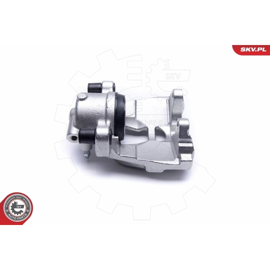 55SKV491 - Brake Caliper 