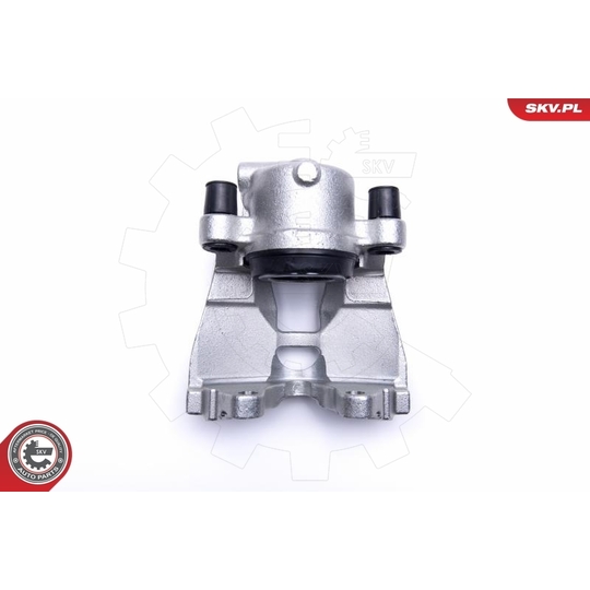 55SKV491 - Brake Caliper 