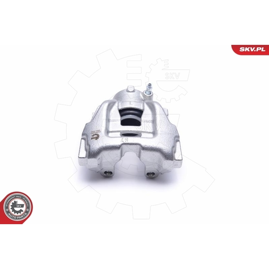 55SKV491 - Brake Caliper 