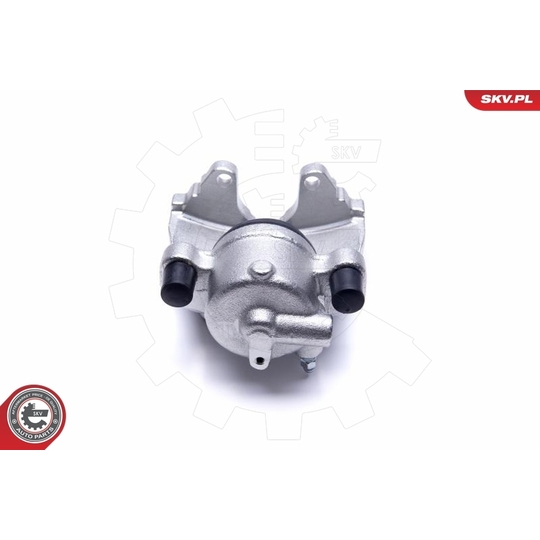 55SKV491 - Brake Caliper 