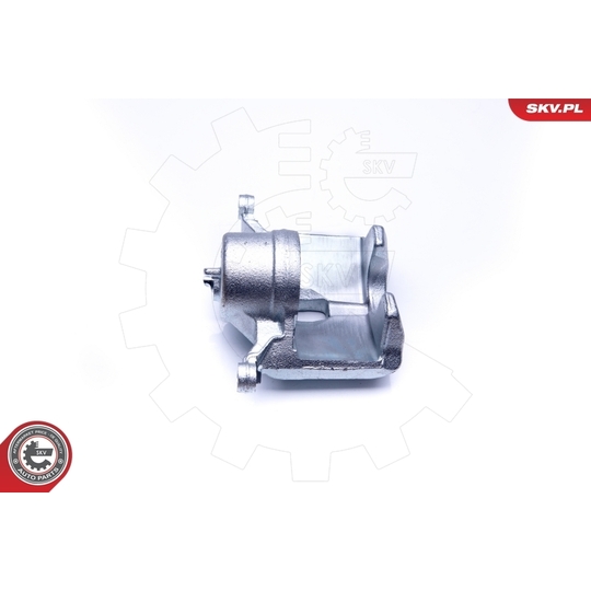 42SKV201 - Brake Caliper 