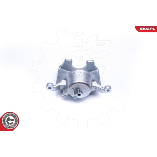 42SKV201 - Brake Caliper 