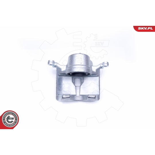 42SKV201 - Brake Caliper 